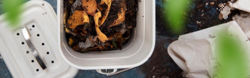 post compostagem o que e para que serve como escolher a composteira