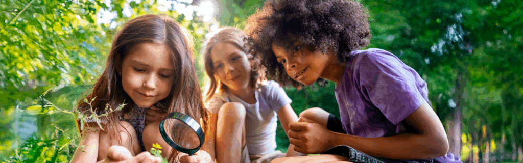 meio ambiente pratica pedagogica criativa